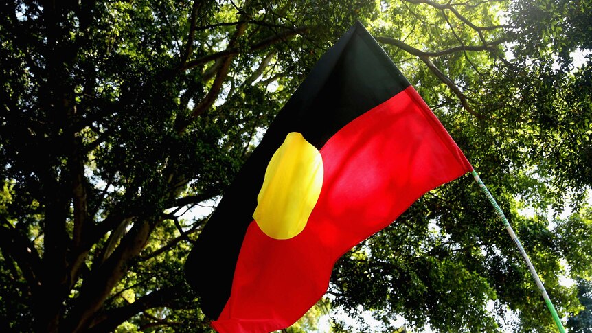 An Aboriginal flag waved in front of trees.