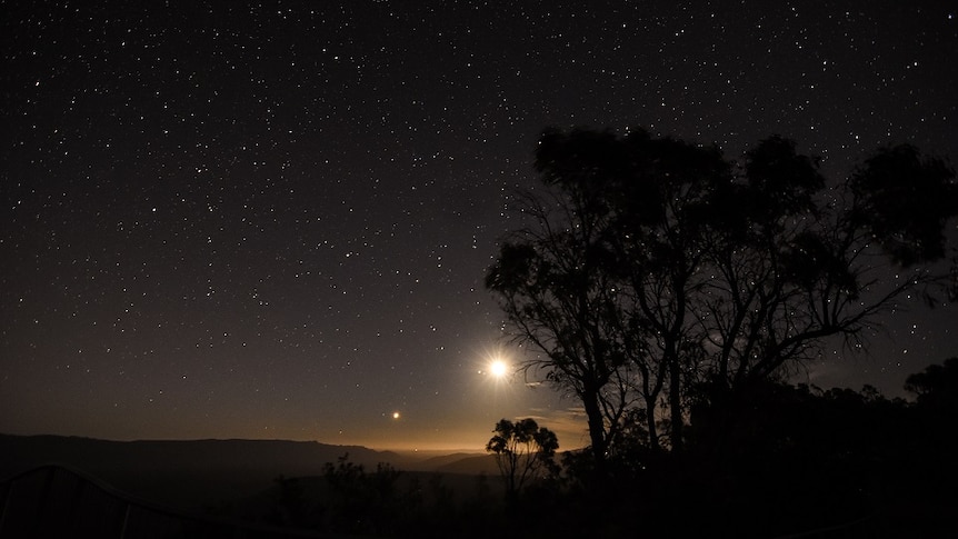The moon and Venus shine in a starry night sky over a mountain range with trees silhouetted