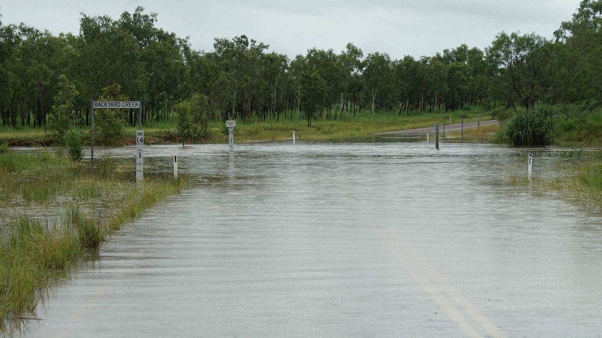 A flooded roadway in the bush.