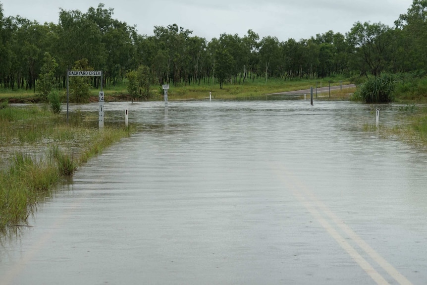 A flooded roadway in the bush.