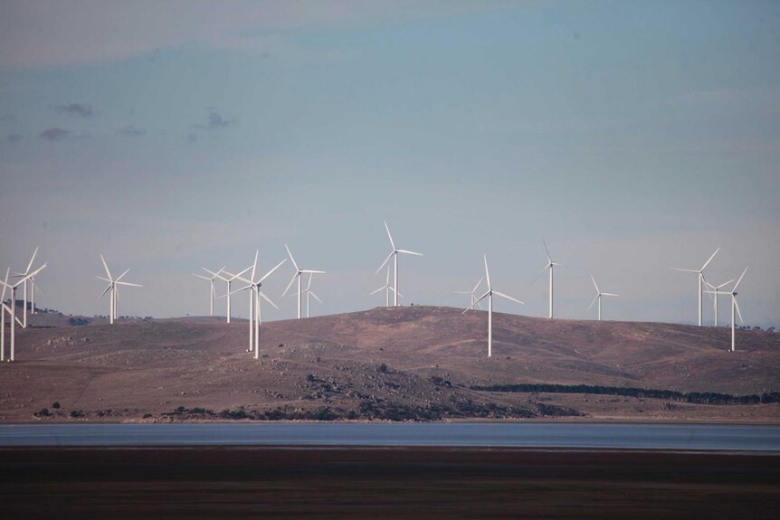 Wind turbines at Capital wind farm stand next to Lake George near Canberra.