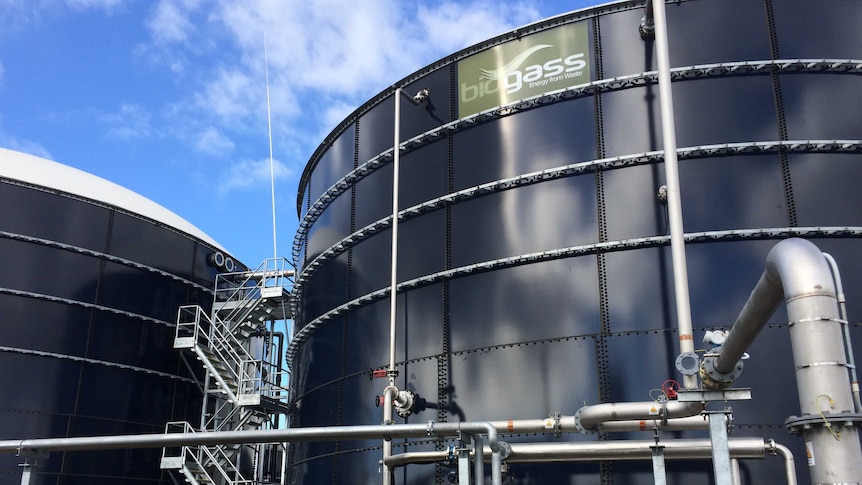 A large black tank stands on concrete with a green biogas sign at the top of the tank.