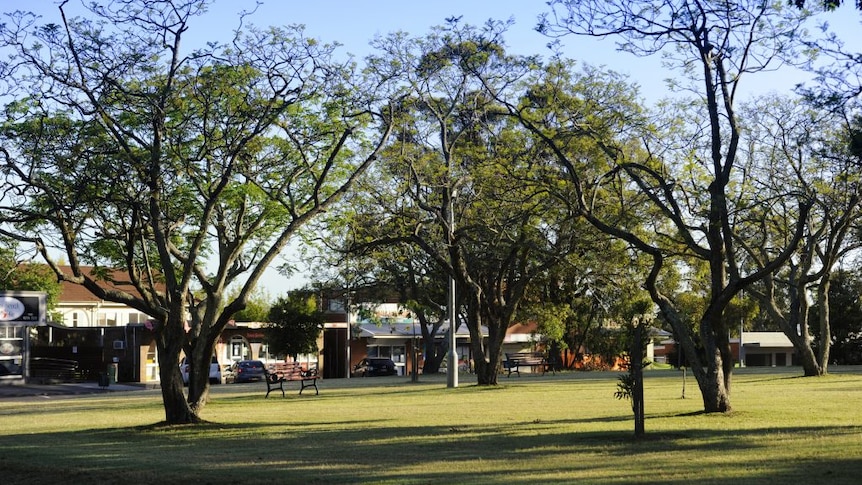 A park in the quiet semi-rural community of Warragamba, the park is green and healthy.
