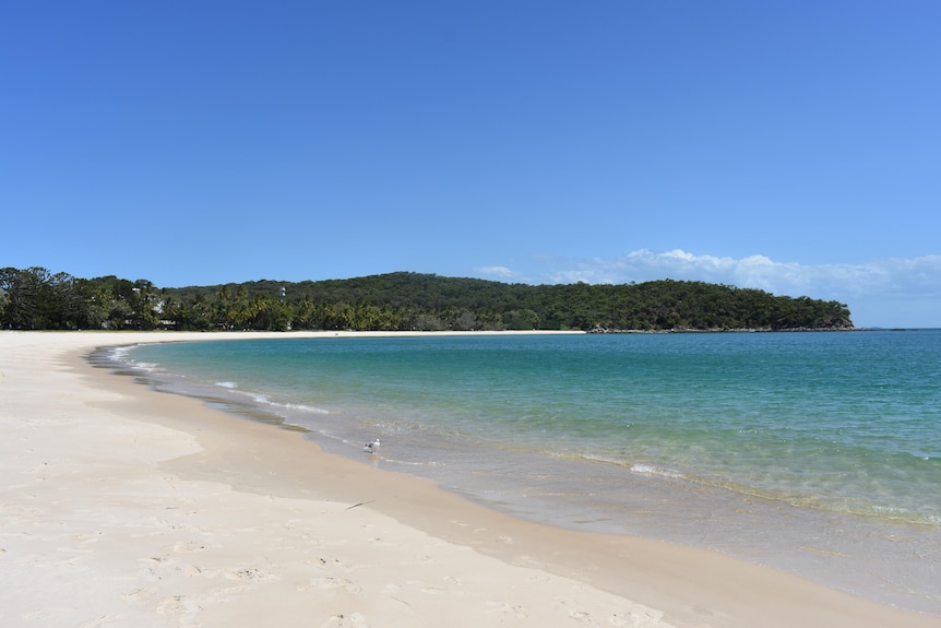 Great Keppel Island beach