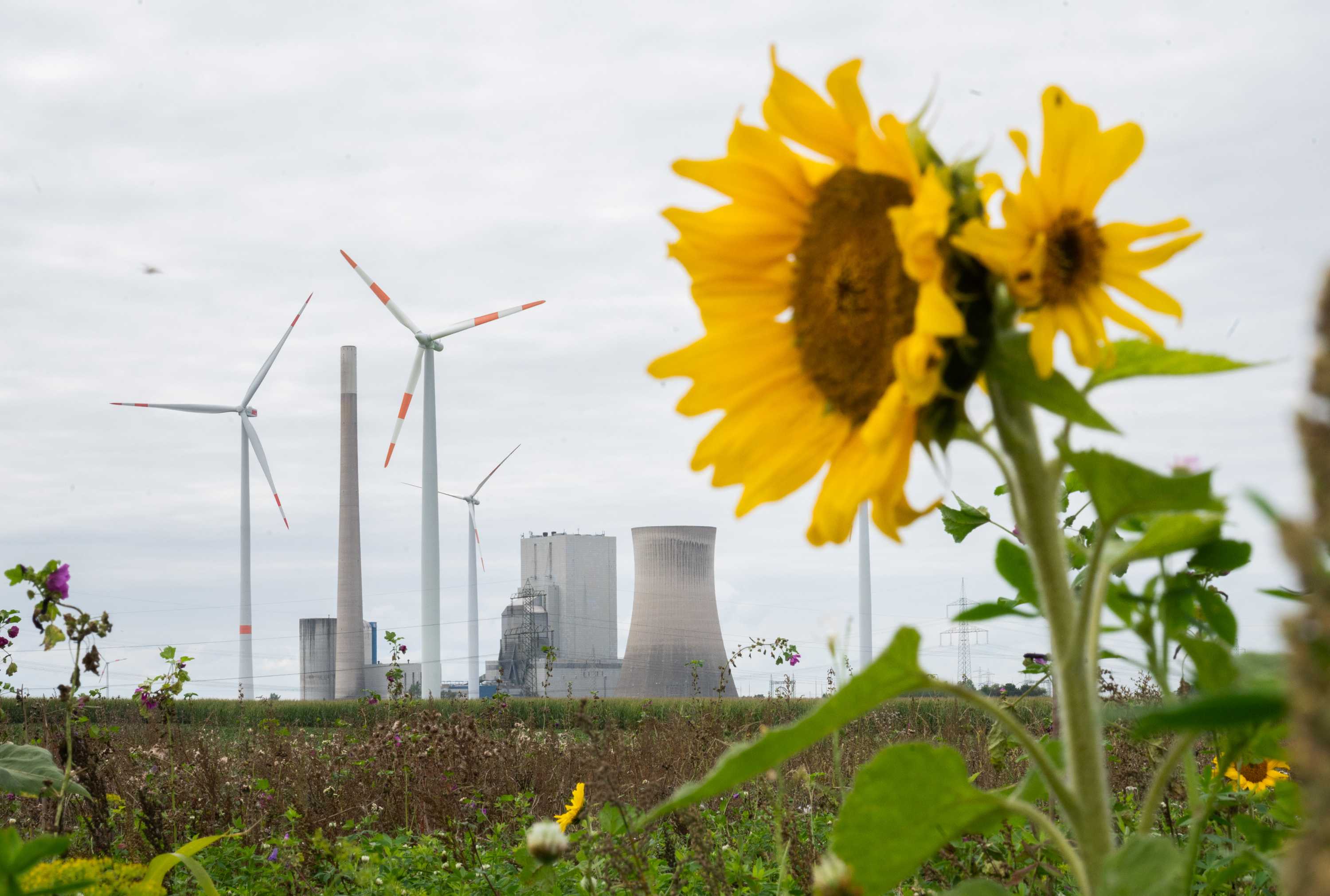 Play Audio. Duration: 25 minutes 46 seconds