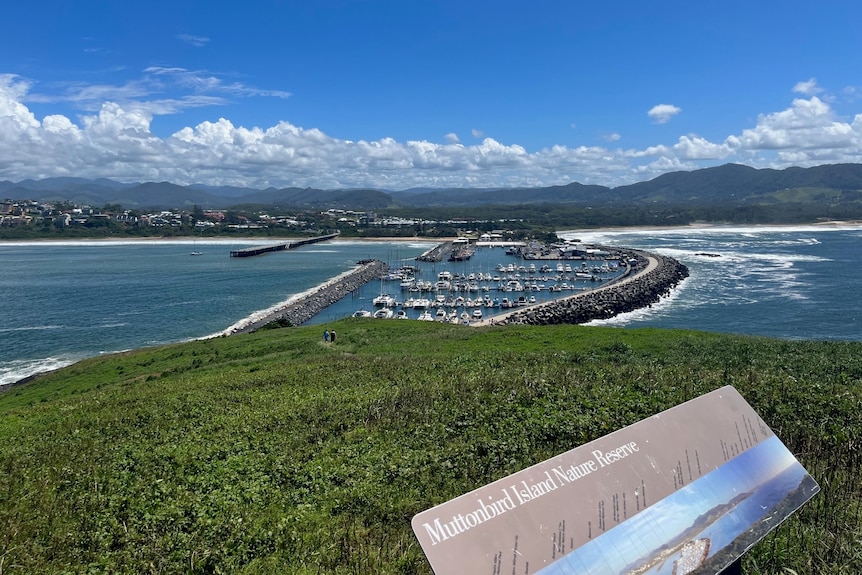 The view of Coffs Harbour jetty from Muttonbird Island. 