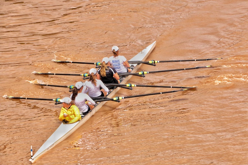 Rowers train in a very dirty and brown Yarra River after heavy rain.
