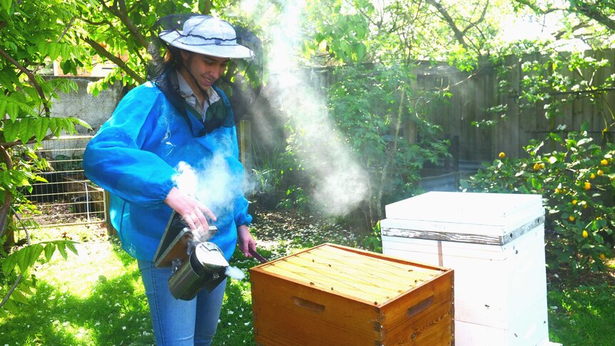 A young woman smokes a hive in her family's backyard.