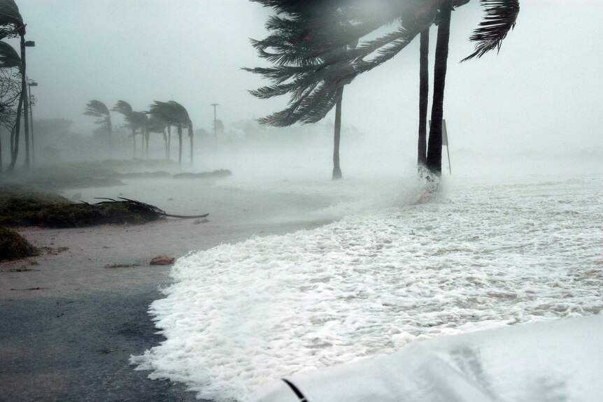 A hurricane lashes Florida