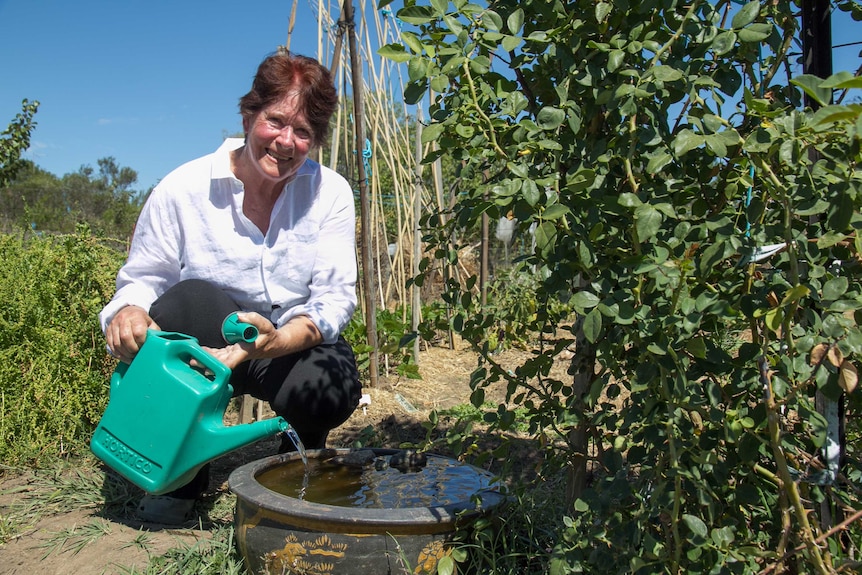 A woman pouring water from a watering can into a low bird bath in a garden