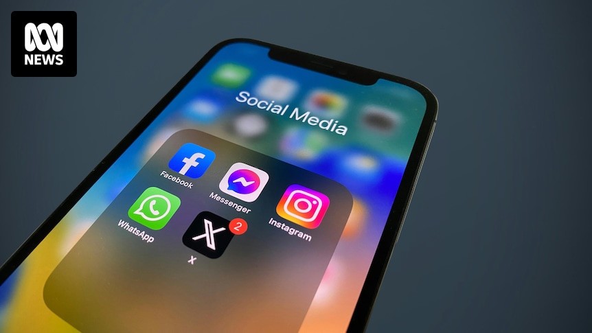Le gouvernement sud-africain pousse à l’interdiction des réseaux sociaux pour les enfants, mais un expert affirme que les plateformes doivent être plus responsables