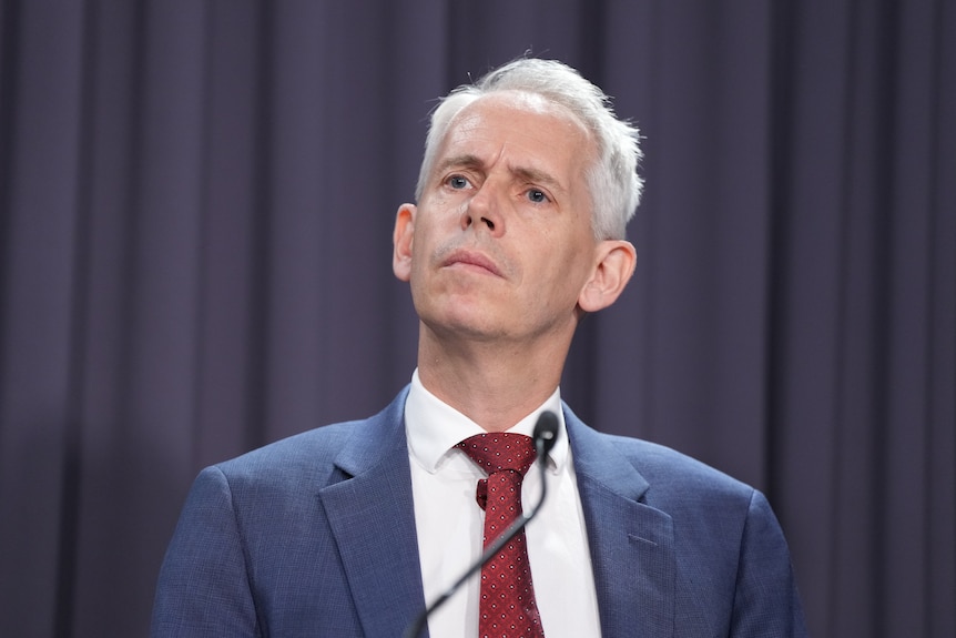 Andrew Giles speaks at a press conference at parliament house