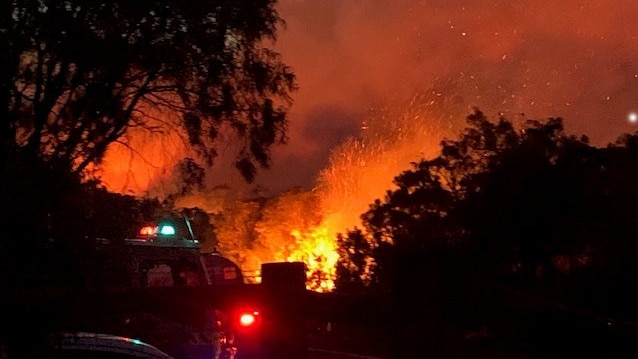 A bushfire at night, framed by trees, with a firetruck in the frame.