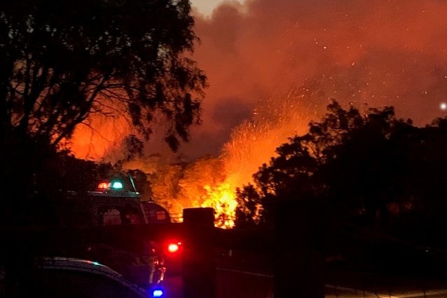 A bushfire at night, framed by trees, with a firetruck in the frame.