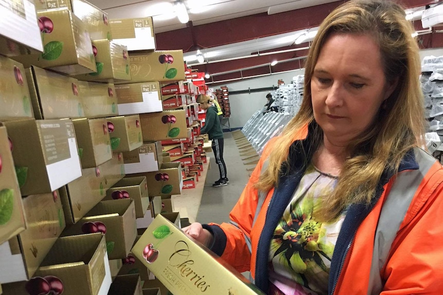 Woman inspecting Reid Fruits box