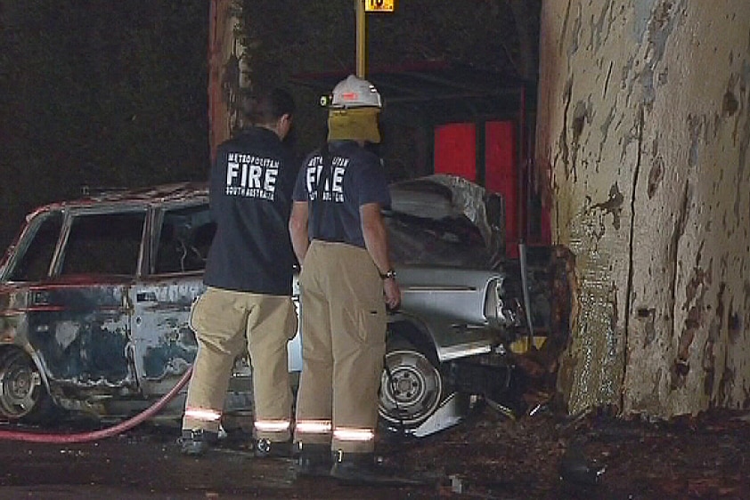 Driver was killed when the car hit a tree at Torrens Park