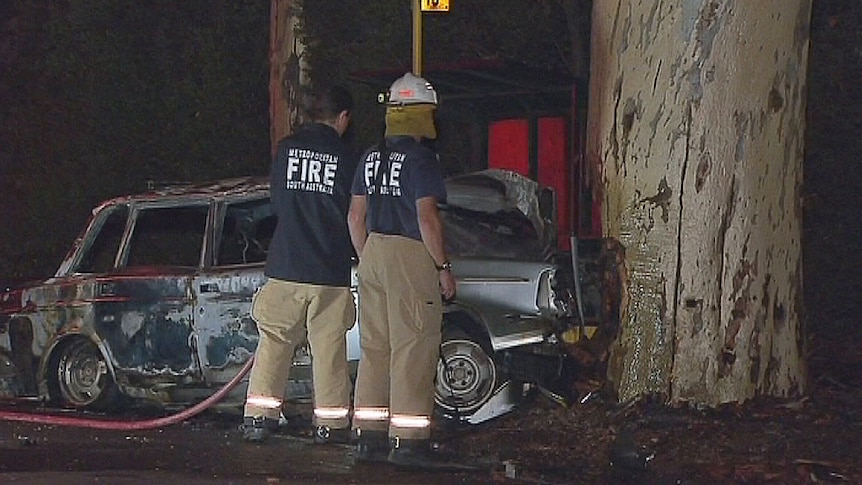 Driver was killed when the car hit a tree at Torrens Park