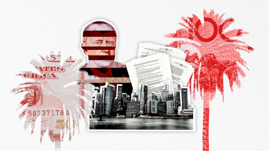 A graphic showing palm trees and a face made of a collage of bank notes, a city skyline, and piles of pages A graphic showing palm trees and a face made of a collage of bank notes, a city skyline, and piles of pages