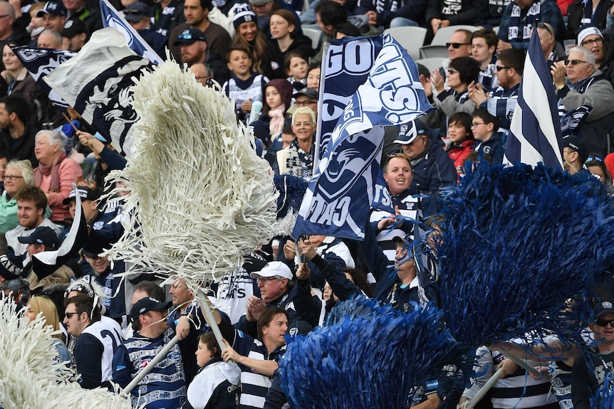 A crowd of Geelong Cats fans in a stadium grandstand, wearing blue and white, holding banners and shaking oversized pom poms.