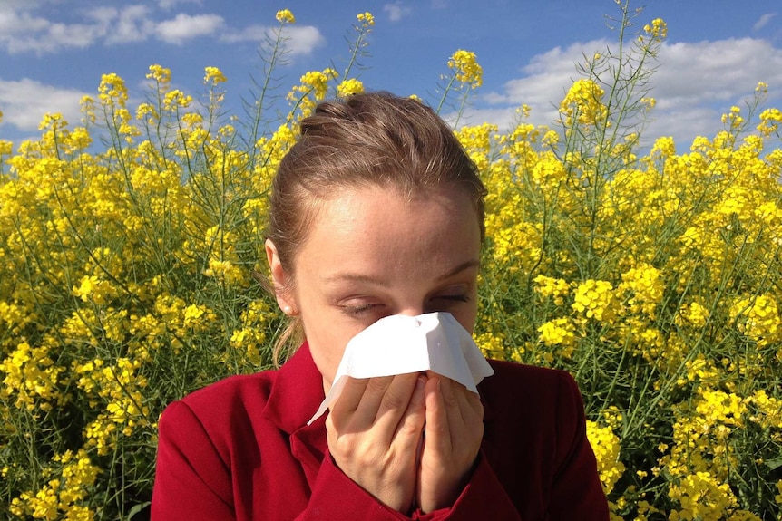A woman in a red top sneezes into a tissue in a field of yellow flowers.