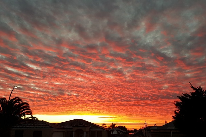 Grey and pink clouds over Mindarie. May 23, 2016.