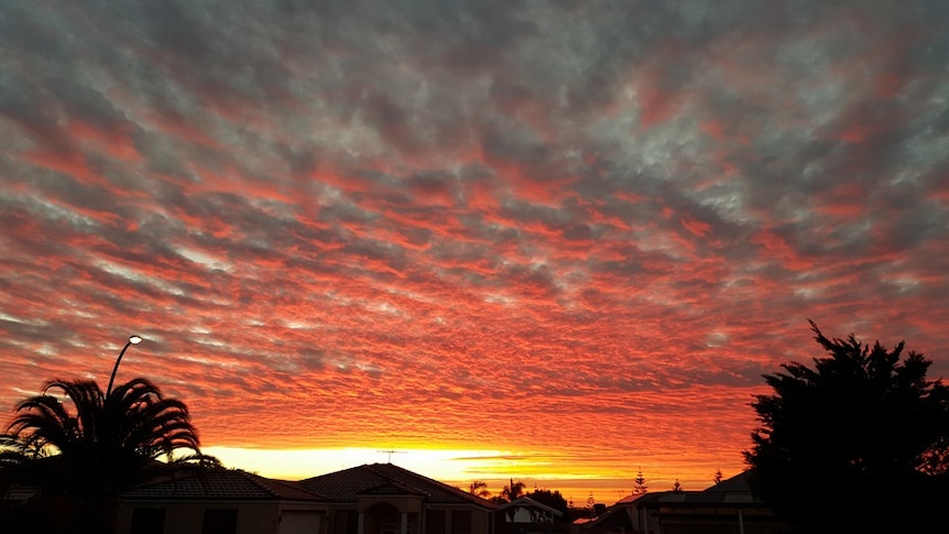 Grey and pink clouds over Mindarie. May 23, 2016.