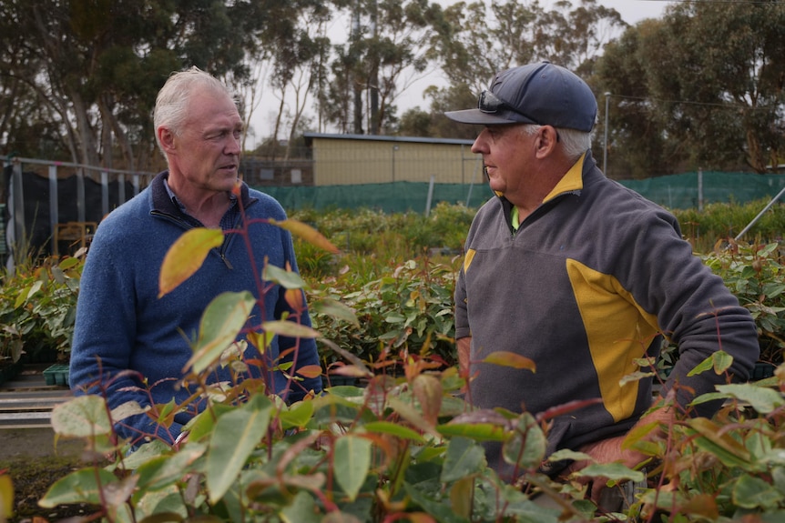 two men talk in a nursery full of tree seedlings