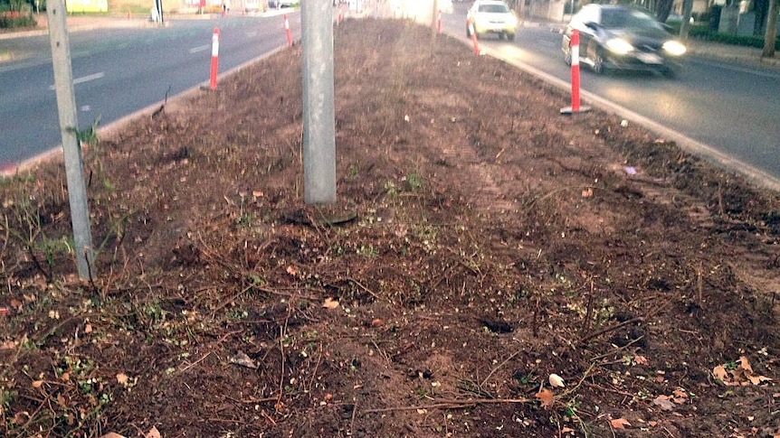 The roses have been removed from the Hackney Road median strip.