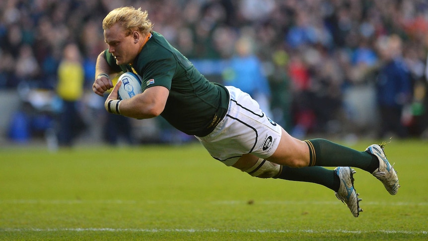 Try-scoring forward ... Adriaan Strauss helped himself to two tries as the Springboks eased past Scotland.