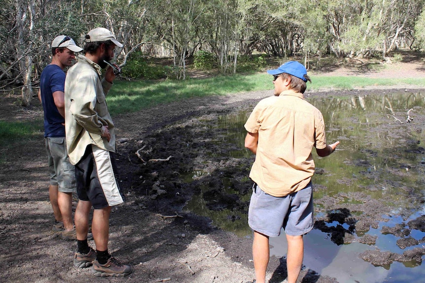 Three researchers standing near a pond at a cattle station south of Broome.