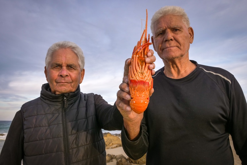 Two Indigenous men stand on a beach proudly holding up a lobster.