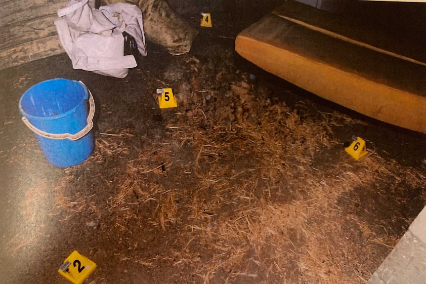 Muddy ground with hay and police evidence tags