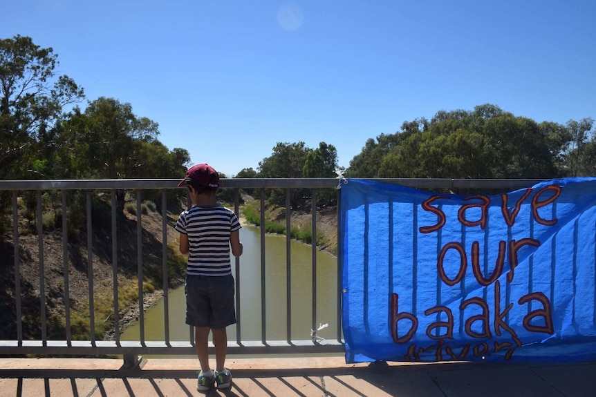 A boy holds onto the railing of the bridge to look down at the river. A banner saying save our baaka (river) next to him