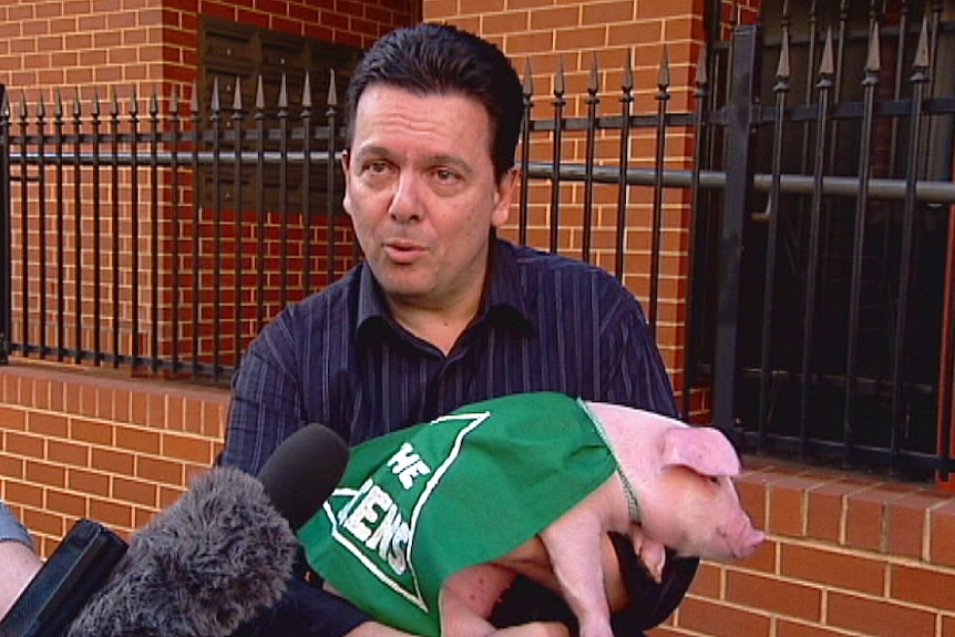 Politician Nick Xenophon holds a pig.