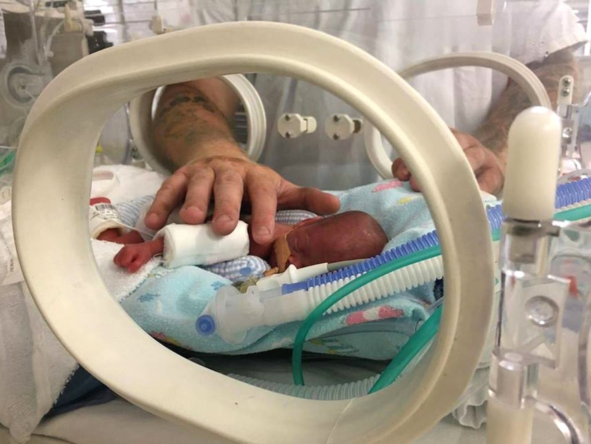 Man's hand reaches in a humidicrib to touch his premature baby son.