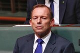 Tony Abbott watching a Parliament debate with narrowed eyes.