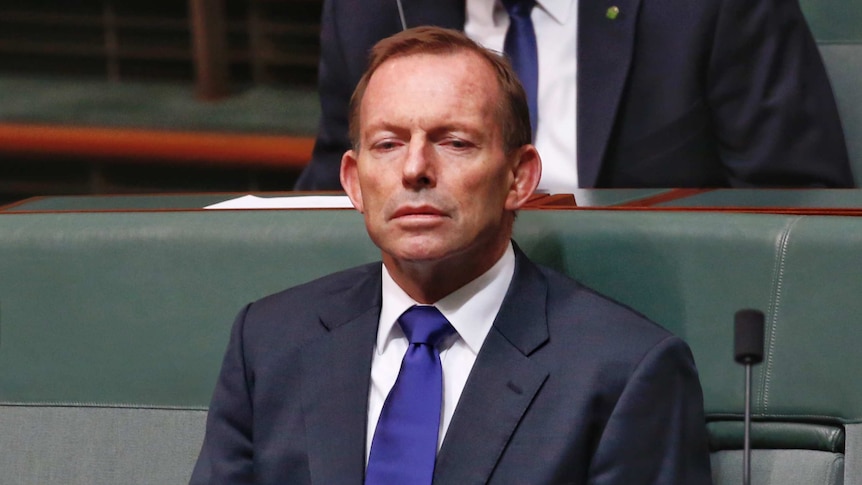 Tony Abbott watching a Parliament debate with narrowed eyes.