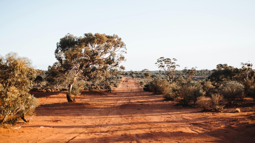 remote outback track, red earth and blue sky with low scrub