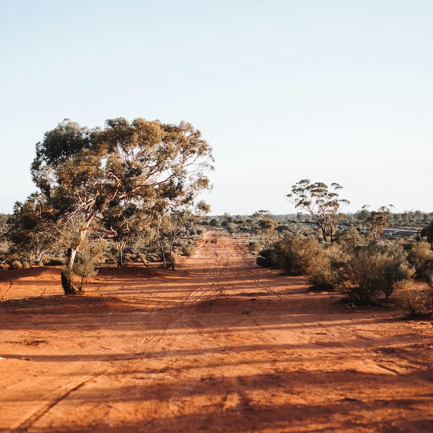 remote outback track, red earth and blue sky with low scrub
