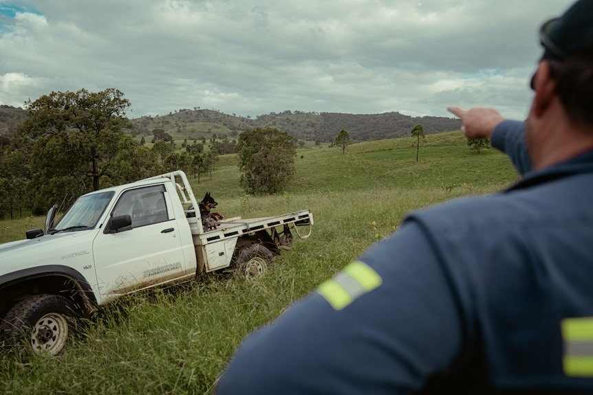 A man points at a ridge line with a dog on a trailer in foreground