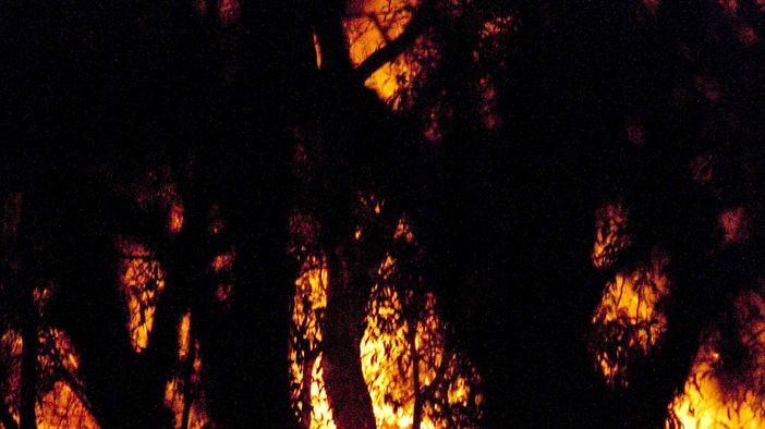 A firefighter (centre) monitors bushfires