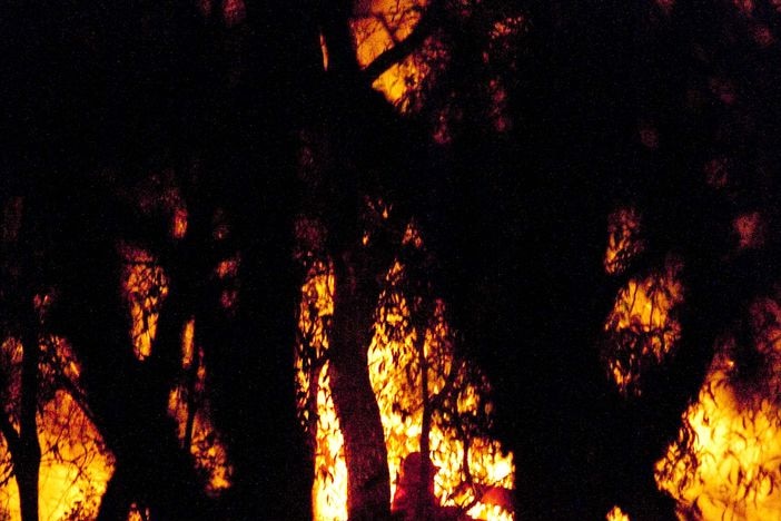 The Queensland Fire and Rescue Service says several fires burning in the state's far north were deliberately lit.