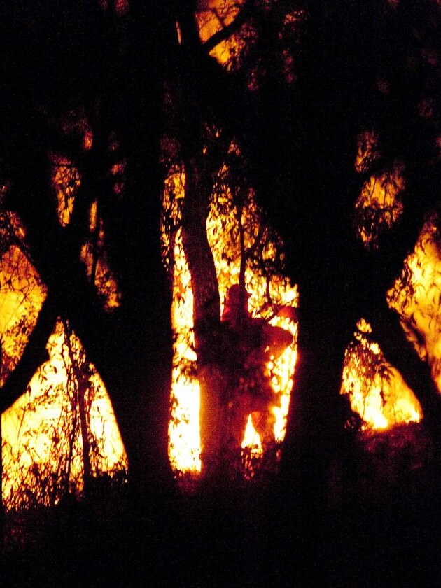 A firefighter (centre) monitors bushfires