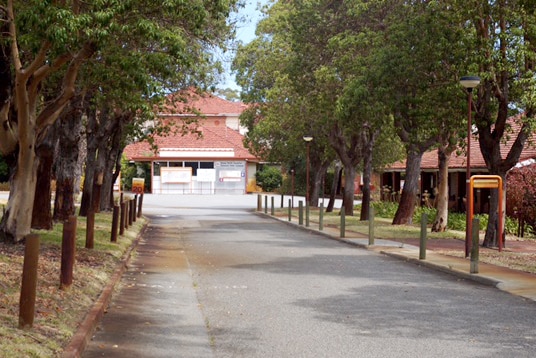 A road lined with tall trees leads to the old Shenton Park Hospital site.