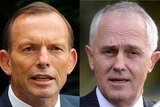 Tony Abbott, Malcolm Turnbull