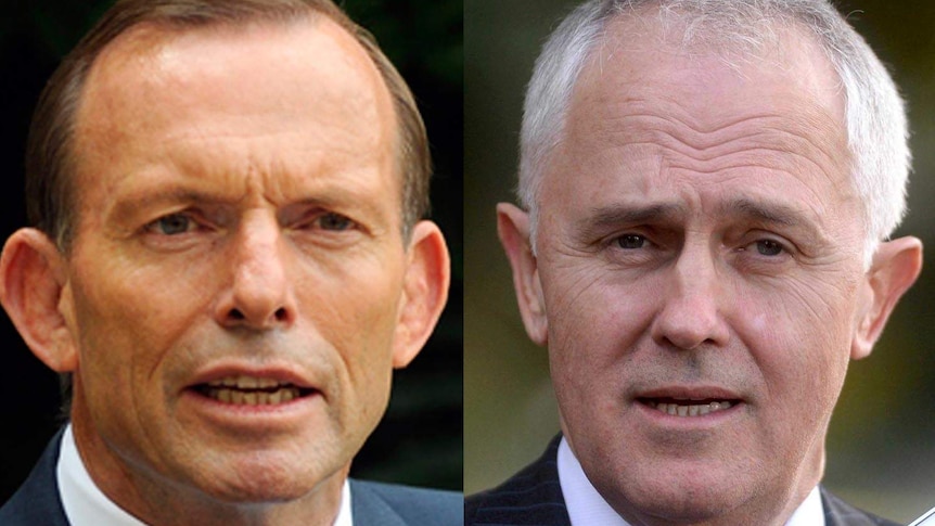 The electorate seems to be glad that it's Turnbull, not Abbott, now calling the shots.