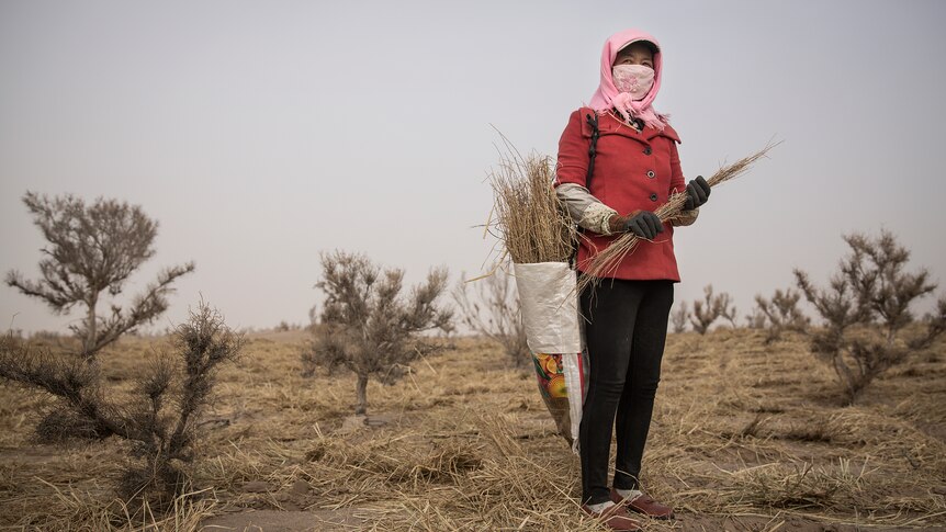 Woman stands in front of trees in a dry part of China.