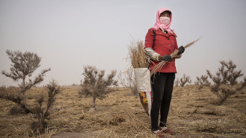 Woman stands in front of trees in a dry part of China.