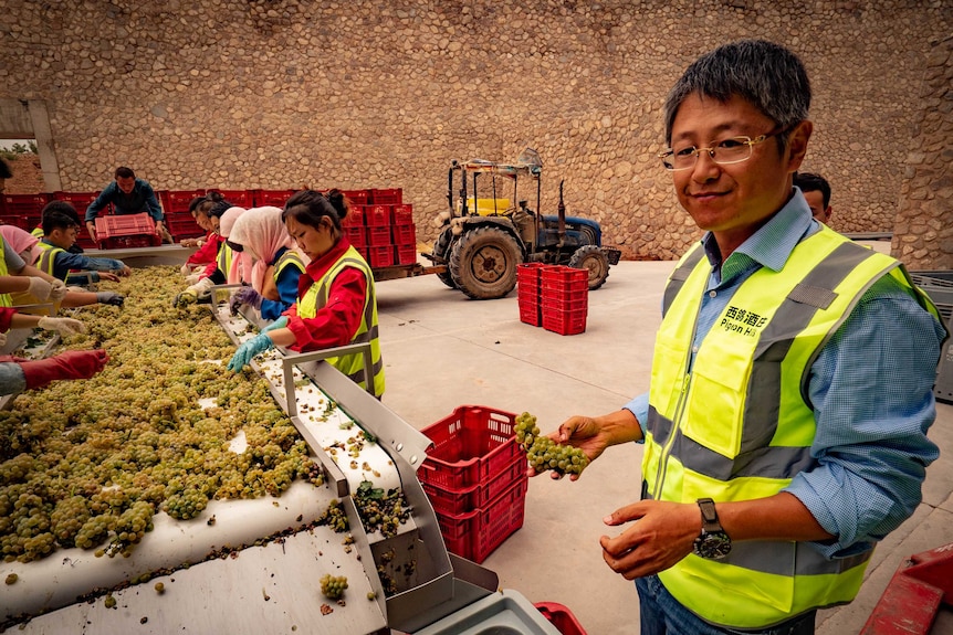 Pigeon Hills owner, Zhang Yanzhi