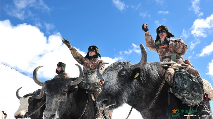 From a low angle, you look up at a group of yaks carrying soldiers saluting against a blue sky.